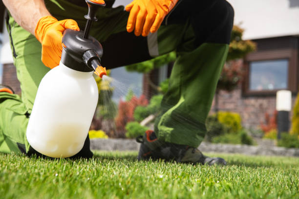 Best Commercial Pest Control Services  in Kaaawa, HI
